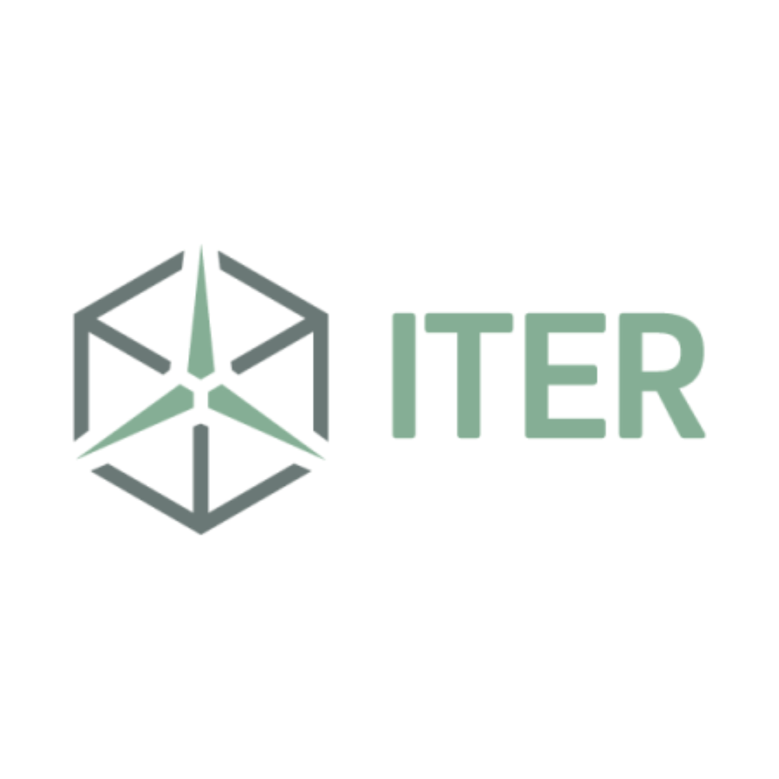 Iter 1
